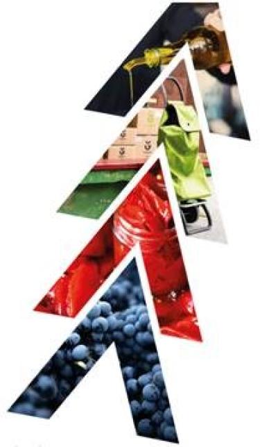 CAMPAÑA ERRIGORA 2025/03/19