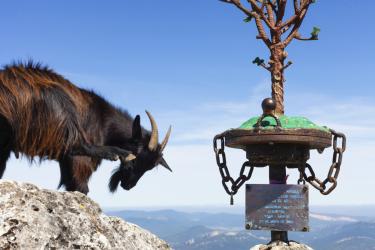 Salida de senderismo: Azuelo – Sierra de Kodes 26/04/2025