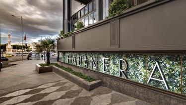 COMIDA MADRID 12/12/2025